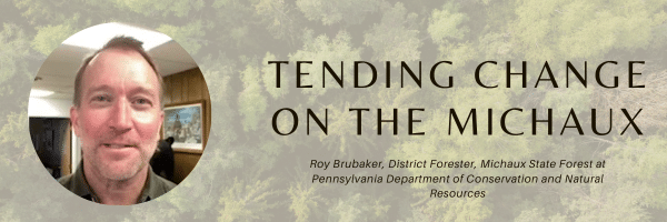 Tending Change on the Michaux by Roy Brubaker
