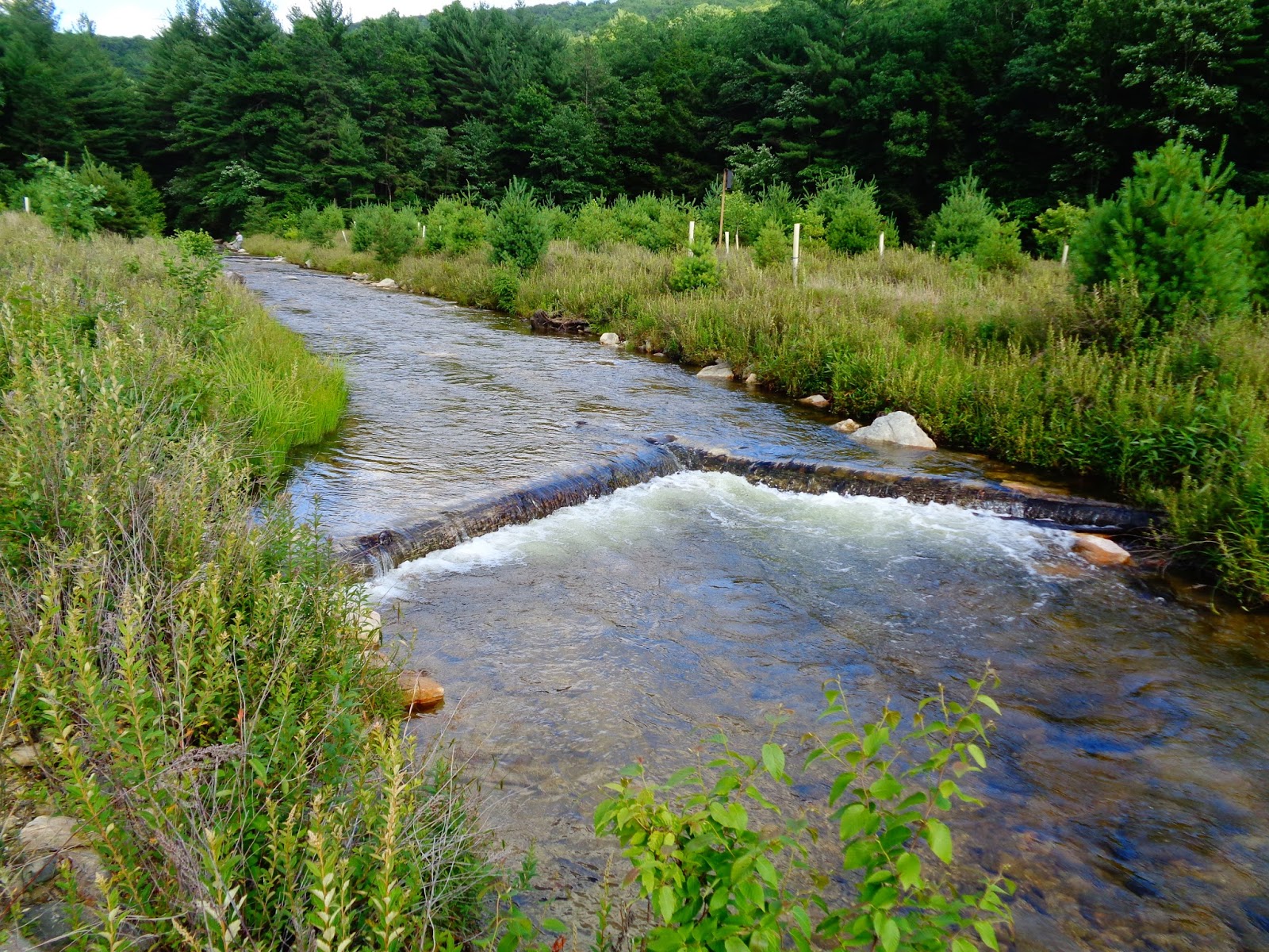 South Mountain to Your Glass Preserving and Improving our Drinking