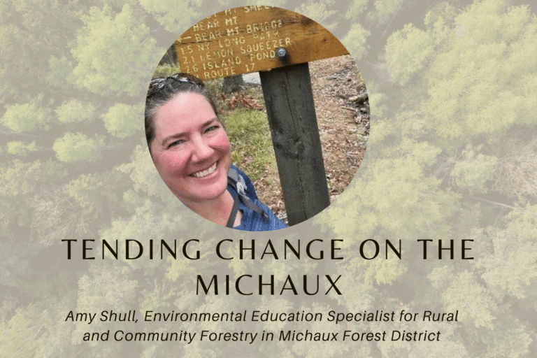 Tending Change on the Michaux: Welcoming Amy Shull