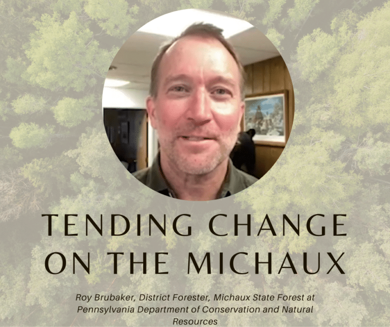 Tending Change on the Michaux:  Spring Forward