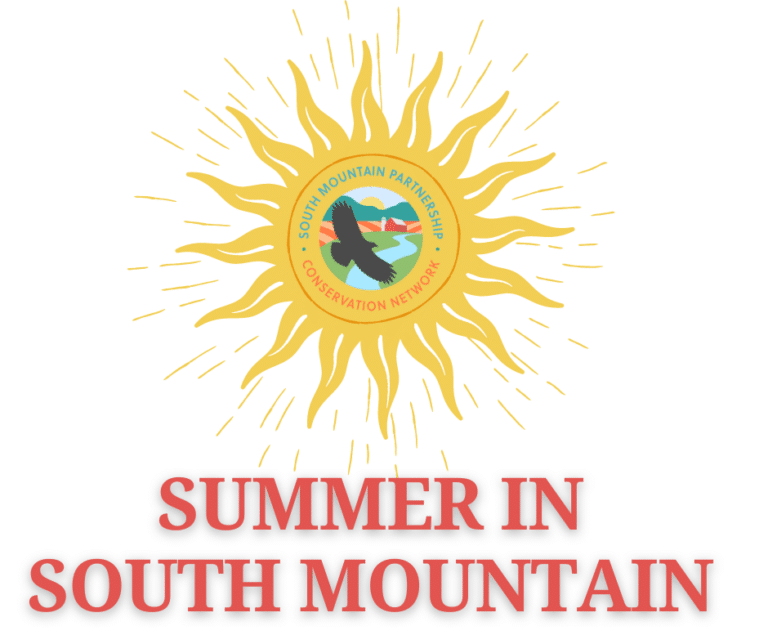 Summer in South Mountain