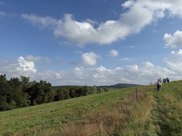 SMP Podcasts with Hemlocks to Hellbenders