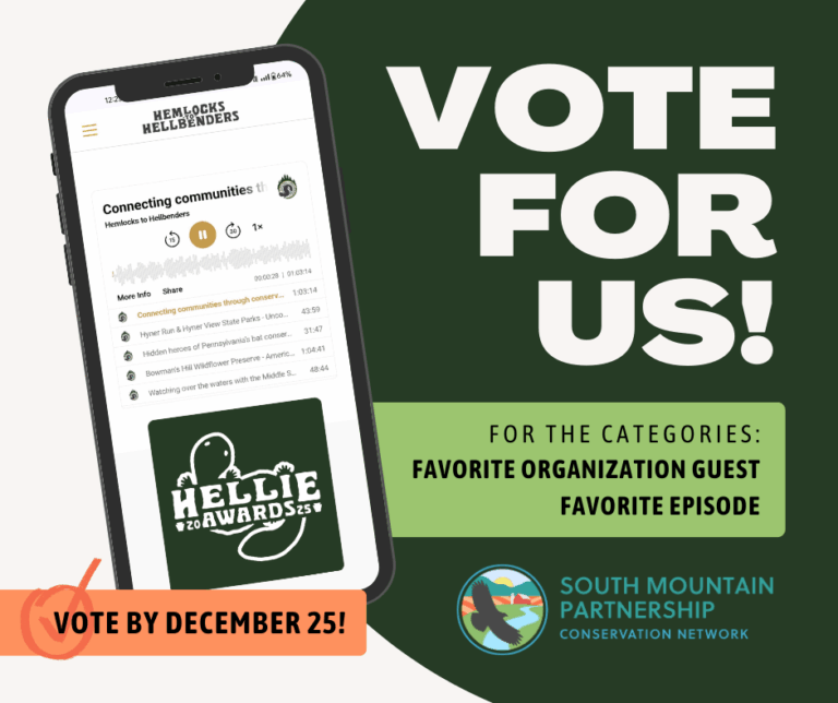 Vote for Us 2025 Hellie Awards
