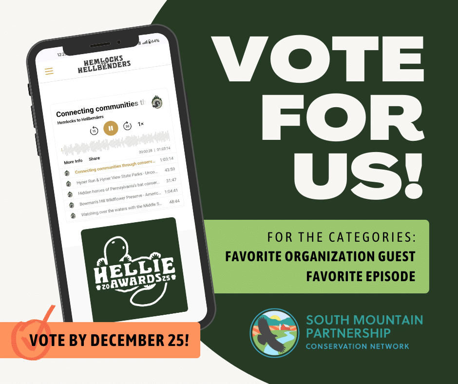Vote for Us 2025 Hellie Awards