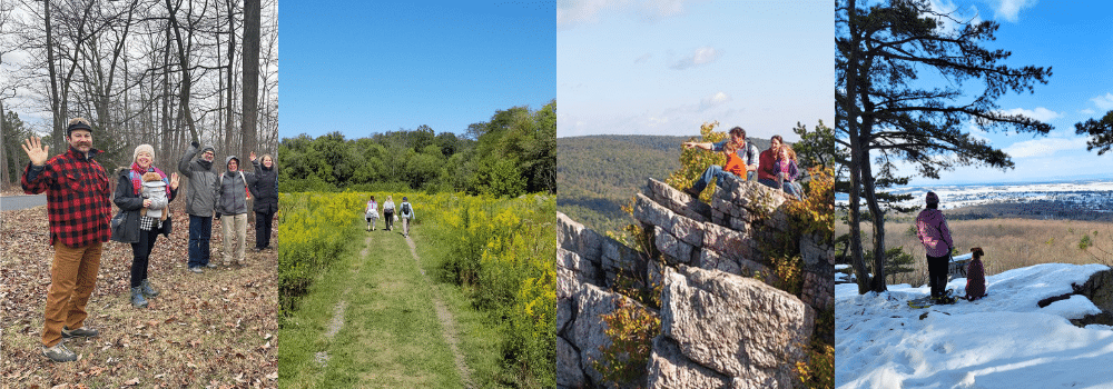 Support Your Local Park or Forest
