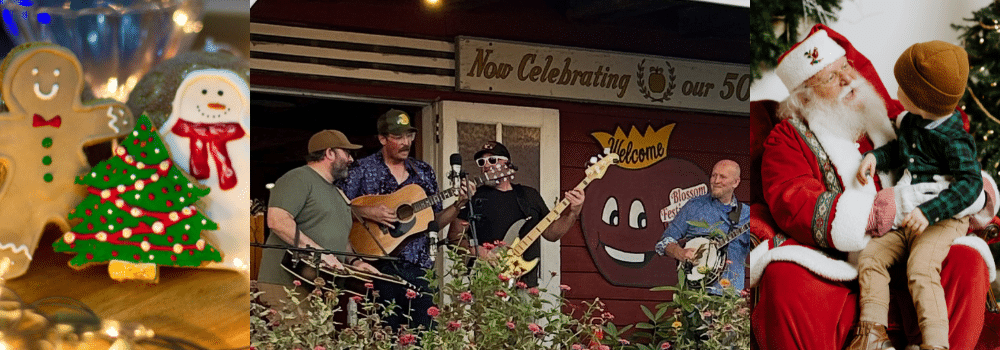 celebrate the season with local events