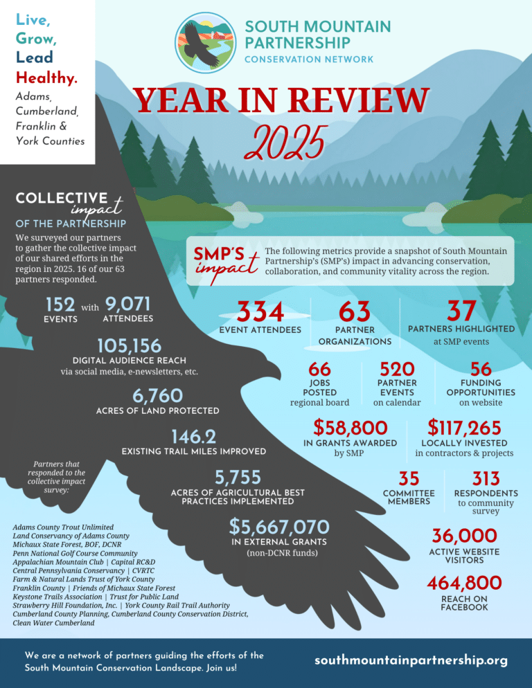 SMP 2025 Year in Review