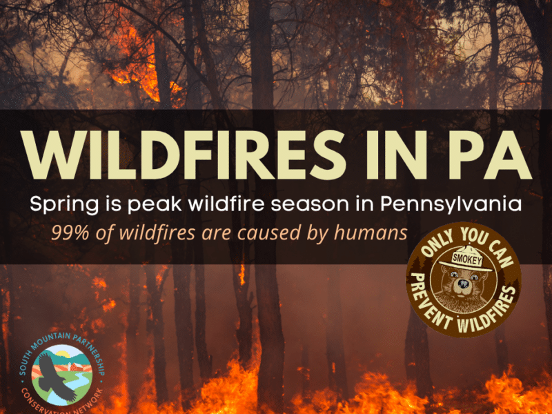 Wildfire image with text overlay "Wildfires in Pennsylvania: Spring is peak wildfire season in Pennsylvania. 99% of wildfires are cause by humans."