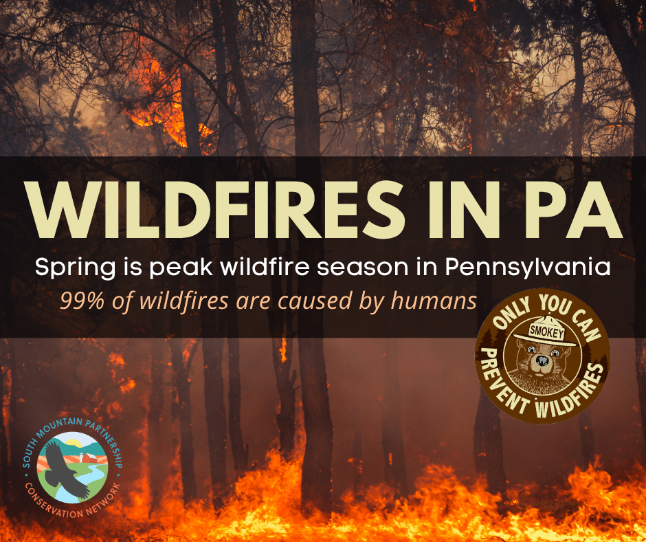 Wildfire image with text overlay "Wildfires in Pennsylvania: Spring is peak wildfire season in Pennsylvania. 99% of wildfires are cause by humans."