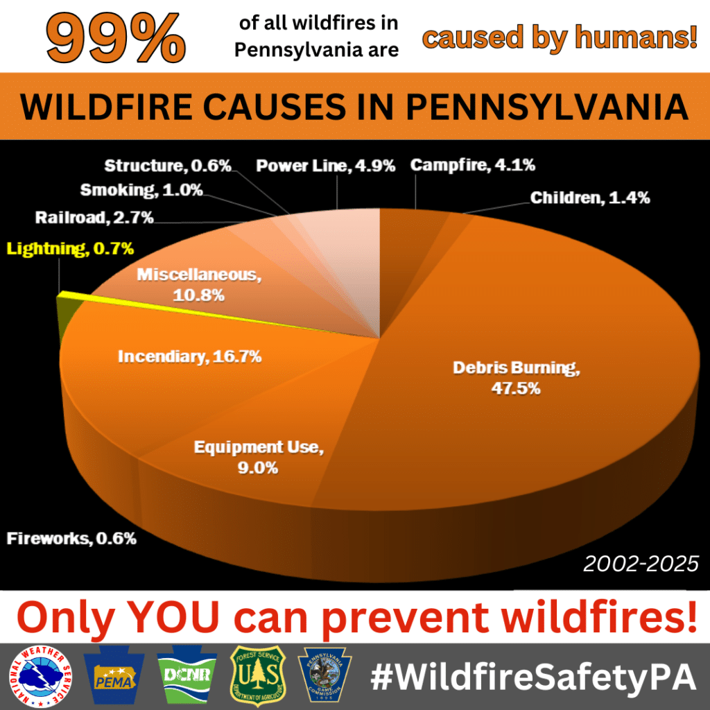 99% of wildfires are cause by humans graphic